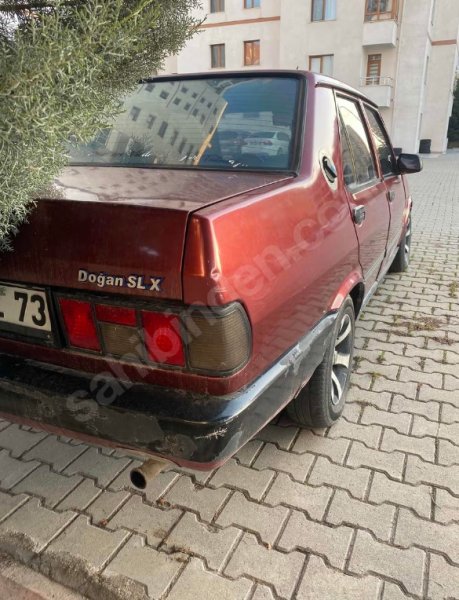 Şefkat istiyor