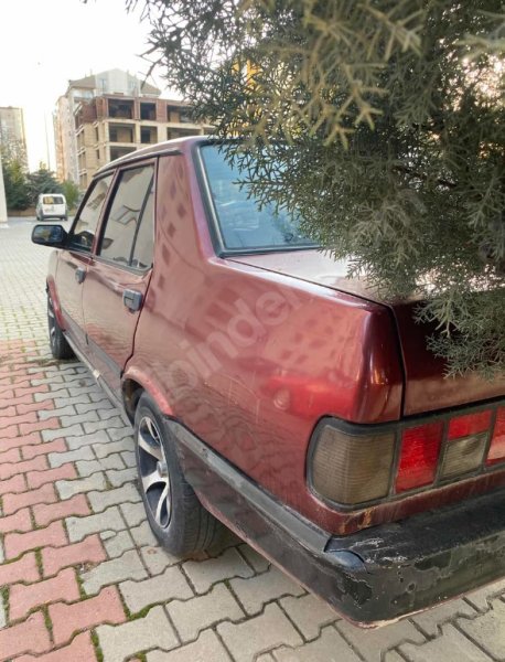 Şefkat istiyor