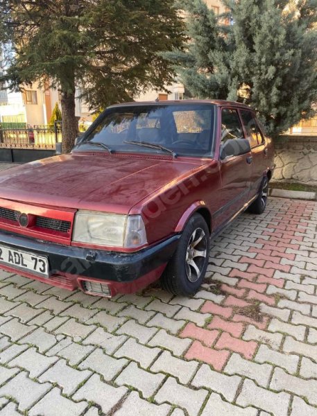Şefkat istiyor