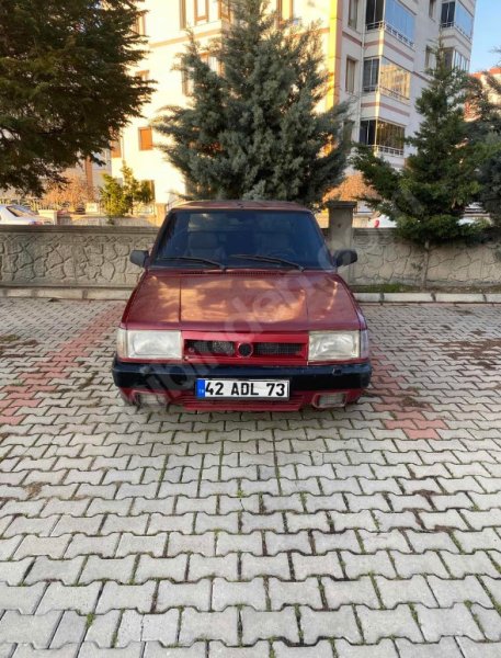 Şefkat istiyor