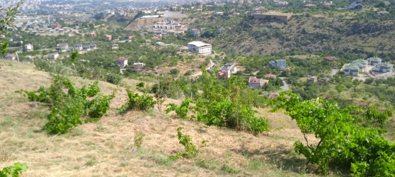 HİSARCIK KIZILTEPE DAĞINDA ŞEHİR MANZARALI KİRALIK BAĞ