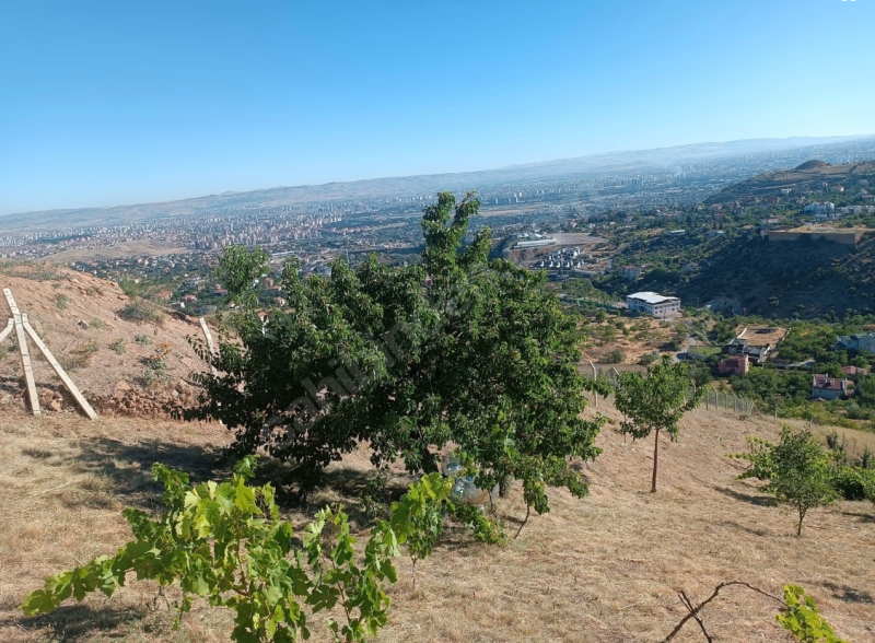 HİSARCIK KIZILTEPE DAĞINDA ŞEHİR MANZARALI KİRALIK BAĞ