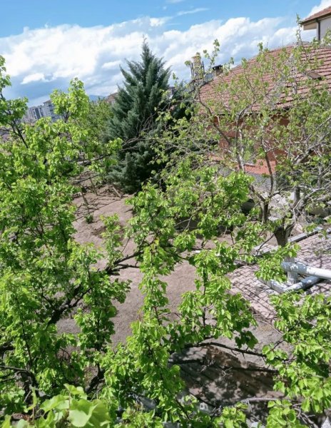 Yazlık müstakil ev