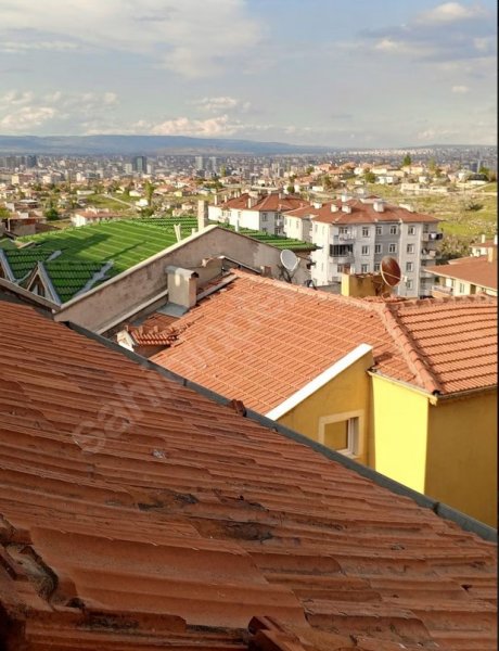Selçuklu Mahallesi, Müstakil ev